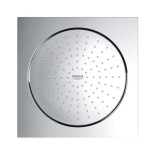Grohe Rainshower F-Series 10" Soffione Doccia 2