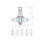 Scheda Tecnica SR Tipo Cisalpino Riduttore di Pressione 