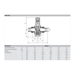 Scheda Tecnica Honeywell Riduttore di Pressione