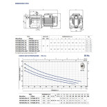 Scheda Tecnica Pedrollo Future JETm 1A Pompa Autoadescante
