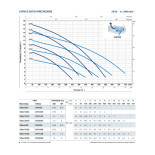Scheda Tecnica Pedrollo VXm 8/50 N Vortex Pompa Sommersa 