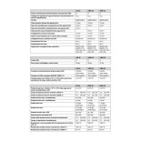 Scheda Tecnica Vaillant ecoTEC Plus VM Caldaia a Condensazione 35 kW Solo Riscaldamento 2